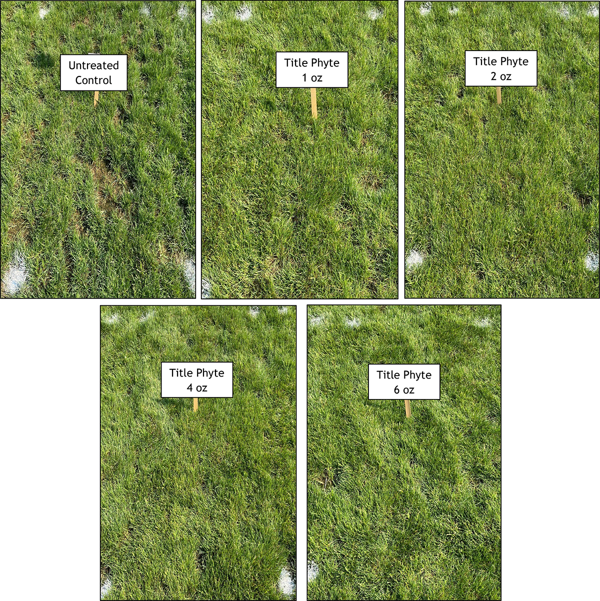 Dr. Bruce Clarke  - percentage of turf area infested with Pythium blight